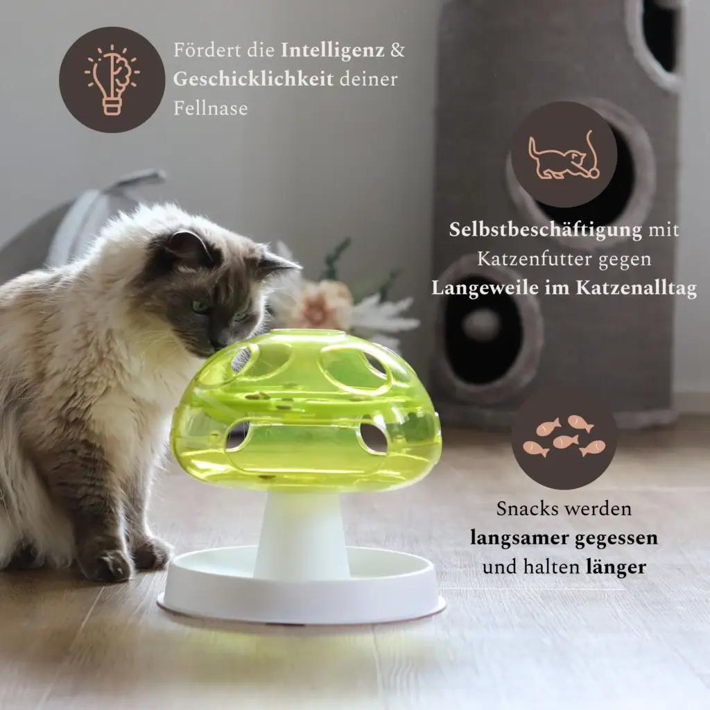 Katze spielt mit einem Futterspielzeug