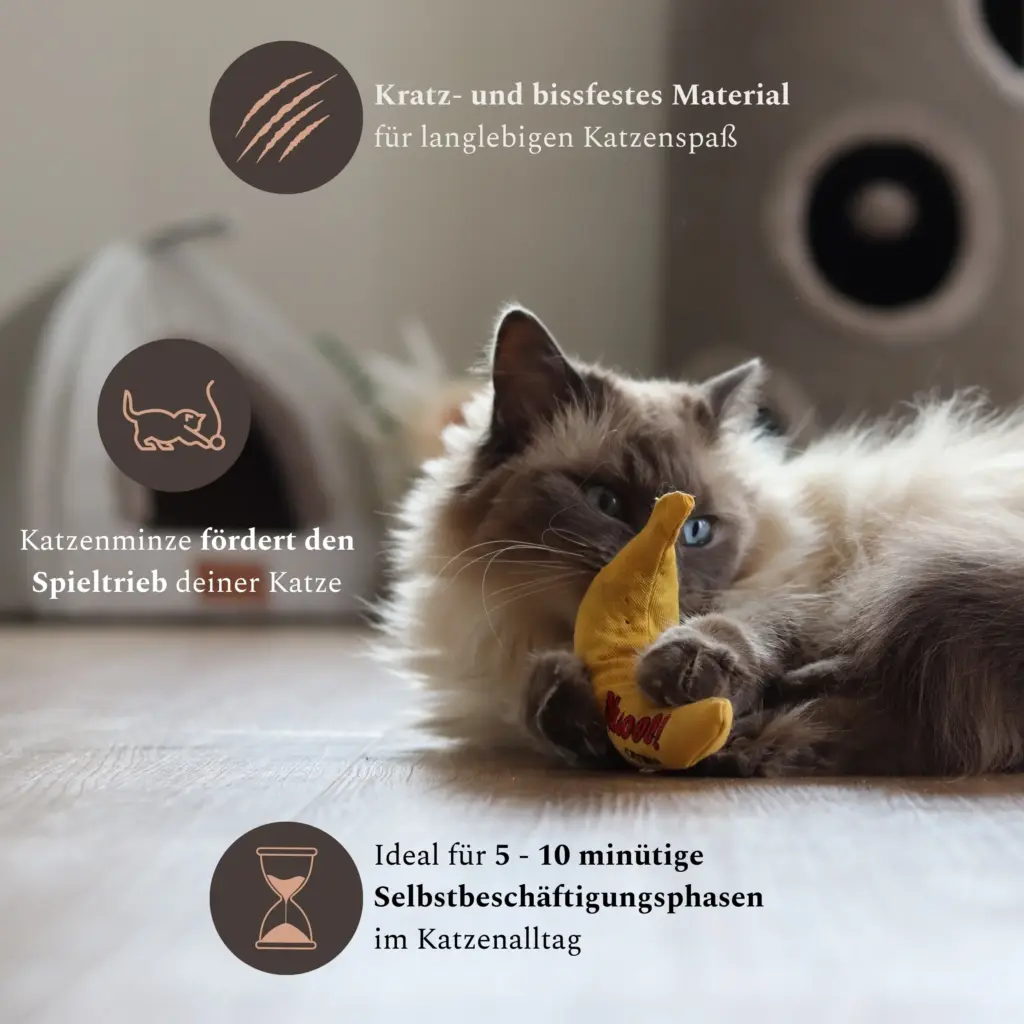 Katze kuschelt mit einem Katzeminzekissen