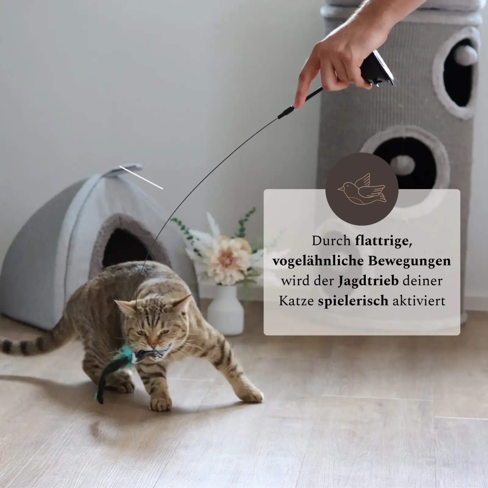 Katze spielt wild mit einer Katzenangel, die einen Vogelanhänger hat