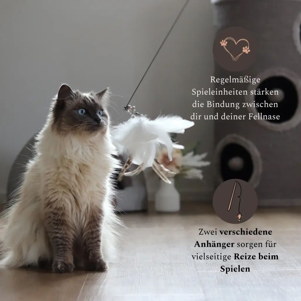 Katze wirkt interessiert an der Tori Katzenangel