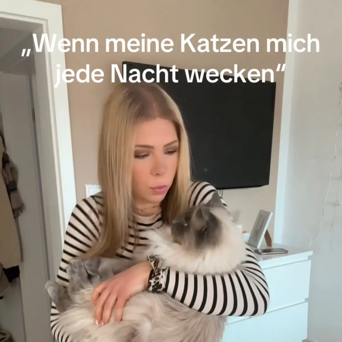 Video mit katze am Arm, die einen geweckt hat