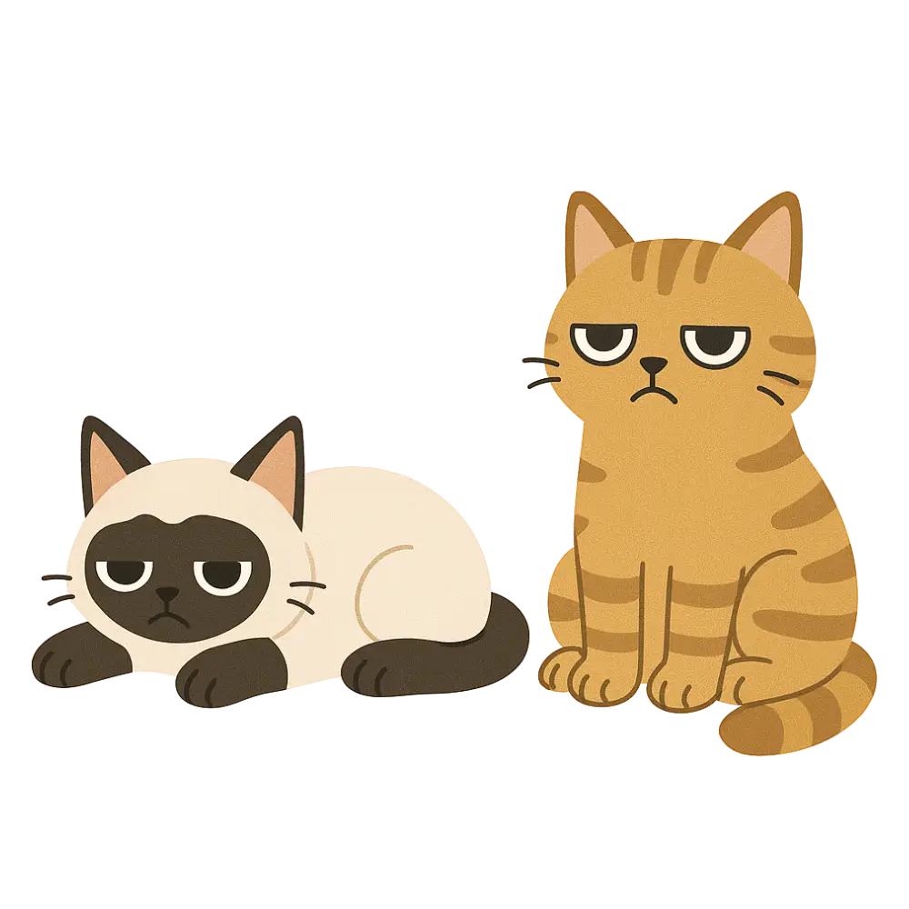 gelangweilte Katzen