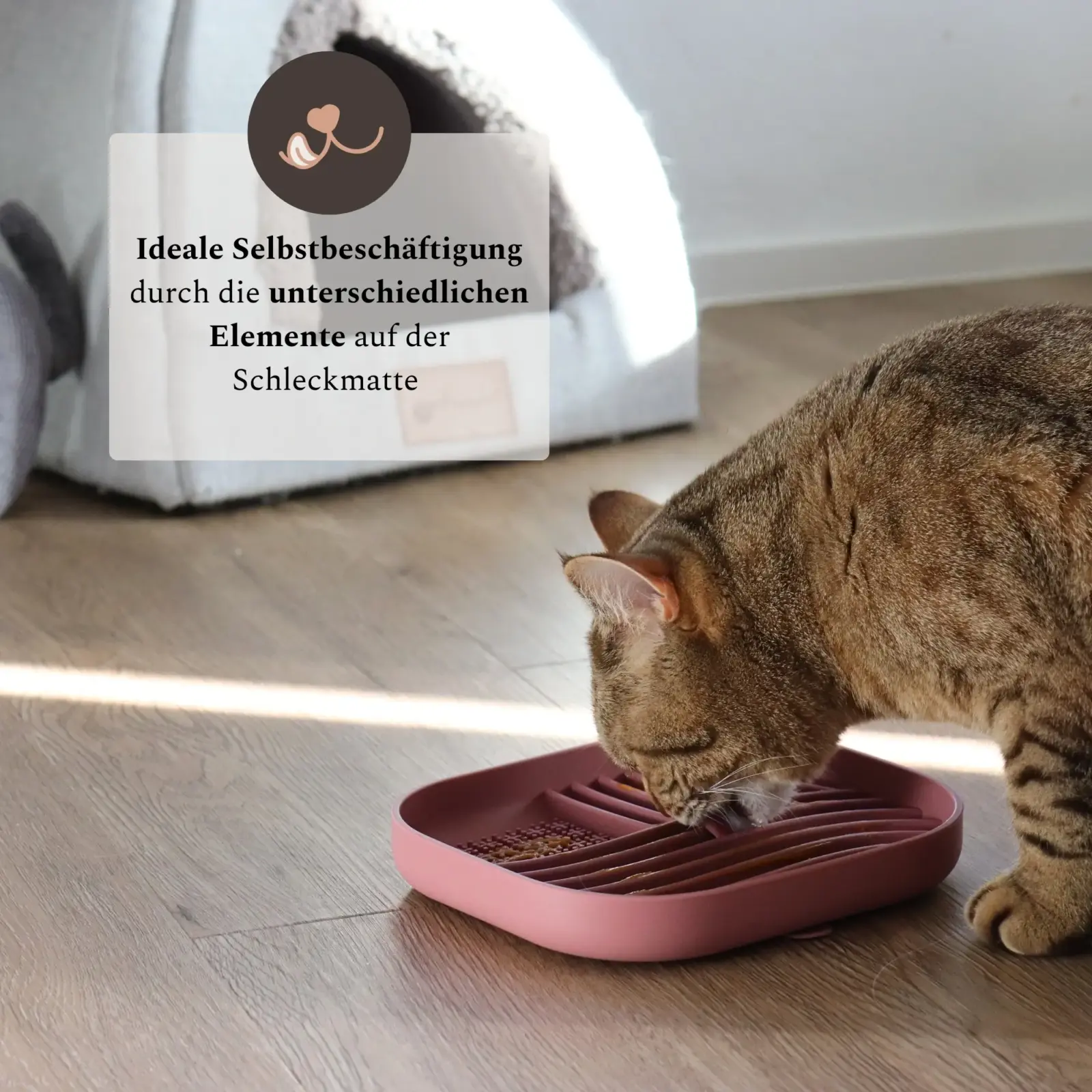 spielerische Herausforderung mit Katzenfutter