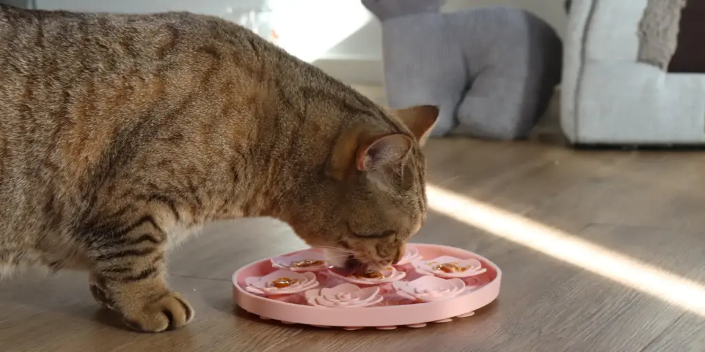 Getigerte Katze nutzt eine Schleckmatte für Katzen